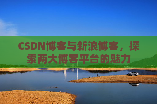 CSDN博客与新浪博客，探索两大博客平台的魅力